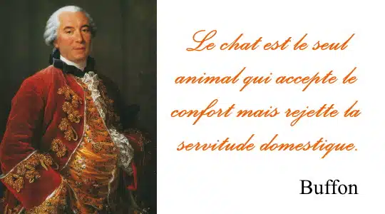 Buffon chat - Citations sur les chats