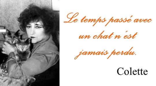 Colette chat - Citations sur les chats