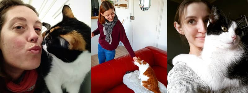 Comment faire garder mon chat - câlins avec les cat-sitters