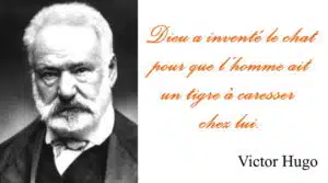 Victor Hugo chat tigre