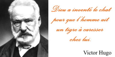 Victor Hugo chat tigre