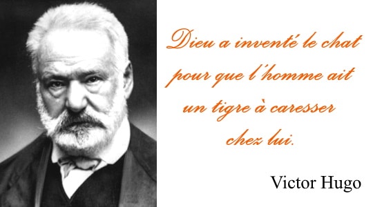 Victor Hugo chat tigre - Citations sur les chats