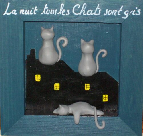 proverbes : la nuit, tous les chats sont gris