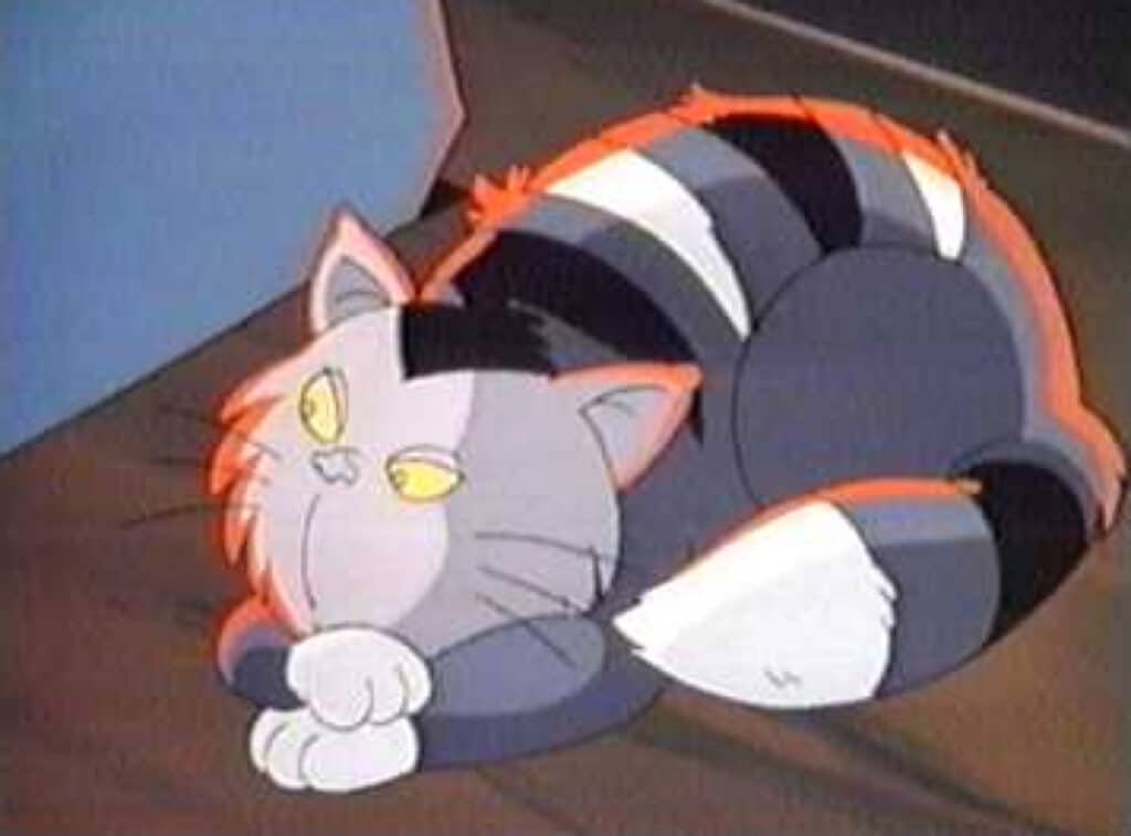 Chats célèbres : Top 20 des chats de dessin animé