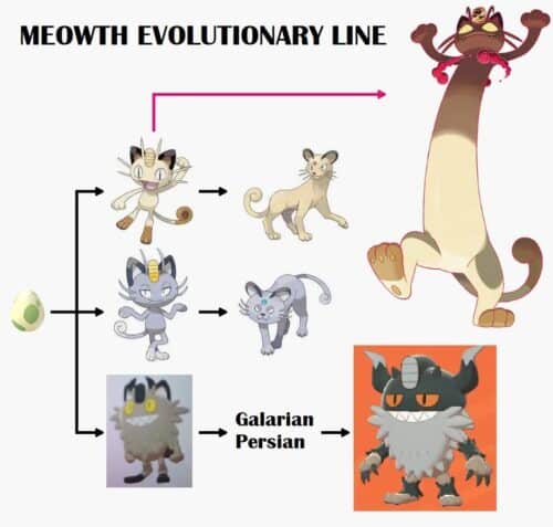 schéma de l'évolution du pokemon Miaouss