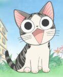 chi-une-vie-de-chat-dvd-glenat