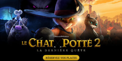 le chat potté