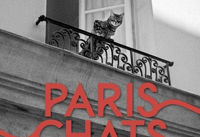 Paris Chats