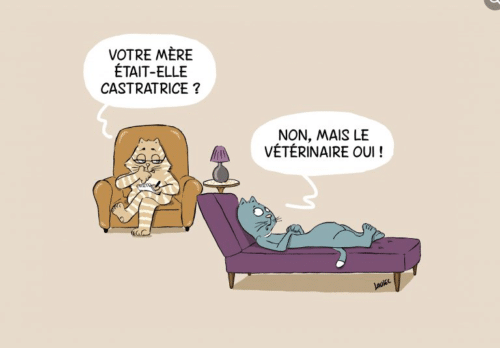 mèmes et illustrations de chats 