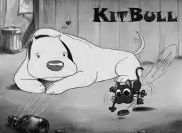 amitié kitbull
