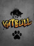 Amitié chien et chat : découvrez ou redécouvrez Kitbull