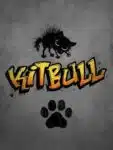 amitié chien et chat : kitbull