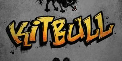 amitié chien et chat : kitbull