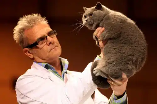 chats-les-plus-celebres-du-monde-Smokey the cat