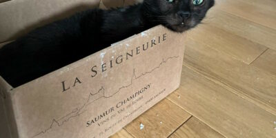 mauvaise réputation des chats noirs - Batman