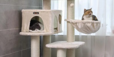 vivre en appartement avec un chat - arbre à chat
