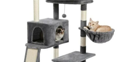 Choisir son arbre à chat