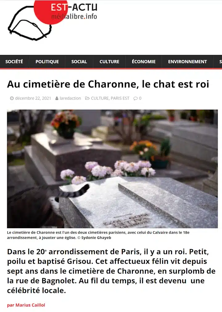 Article sur les chats de Charonne