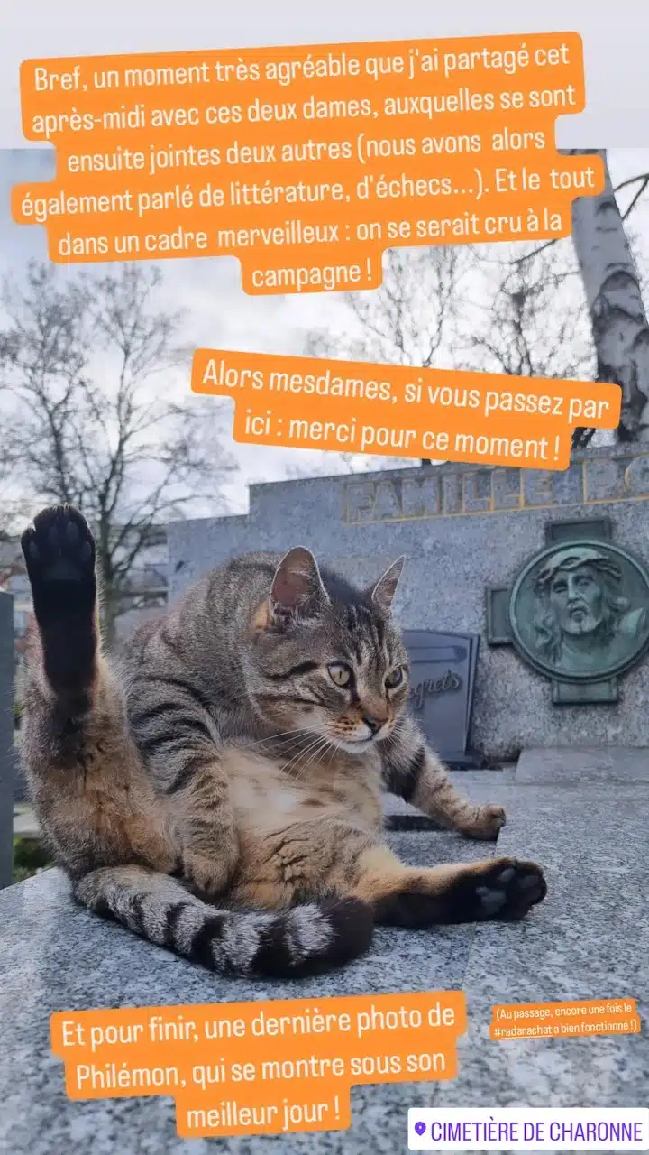 Philémon, chat du cimetière de Charonne