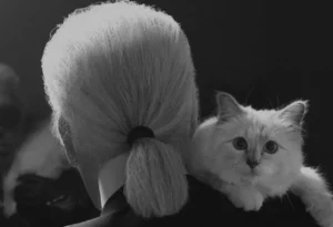 Choupette Lagerfeld, son histoire