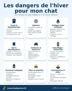 Infographie : les dangers de l’hiver pour ton chat (froid, gelures, antigel, sel, voitures, chauffage, toxiques, déco, hydratation) – monchatestroi.fr